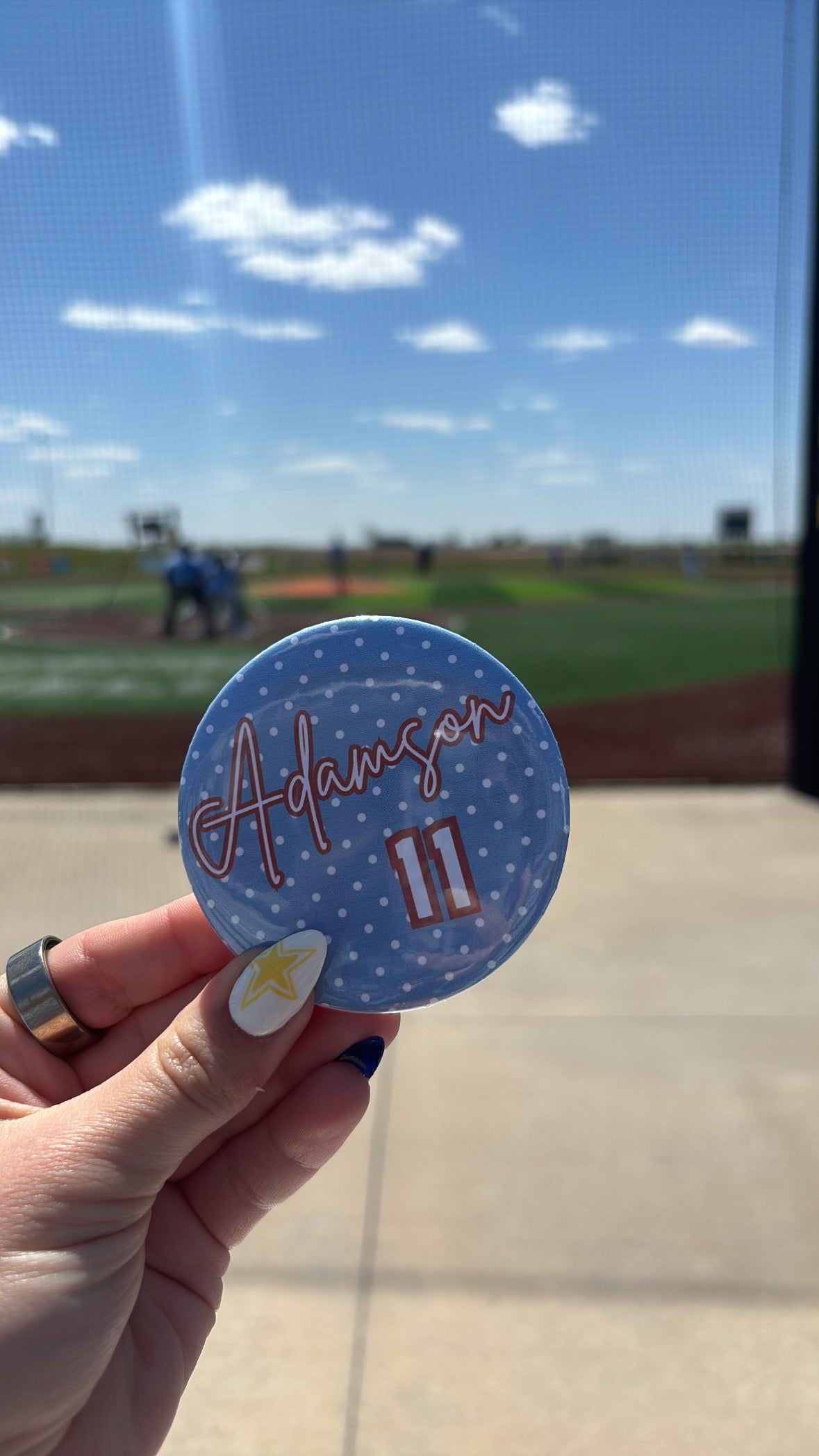 Red Rock Pins